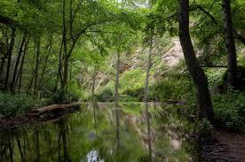 Chantry Flat Hike | 4/22